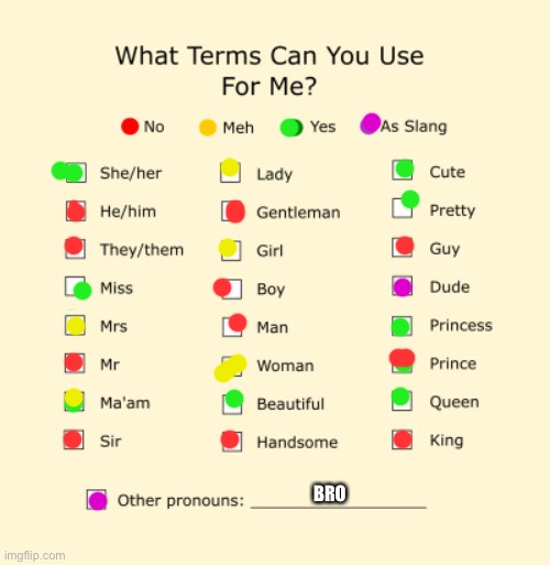 Prounouns sheet | BRO | image tagged in pronouns sheet | made w/ Imgflip meme maker