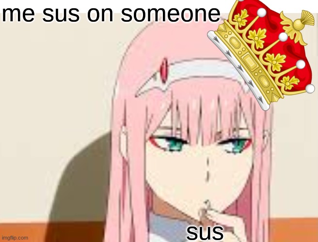 me sus on someone; sus | image tagged in among us | made w/ Imgflip meme maker