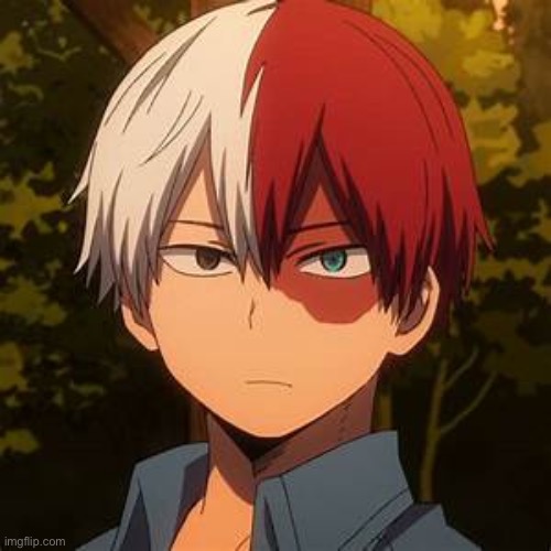 TODOROKI | image tagged in todoroki | made w/ Imgflip meme maker