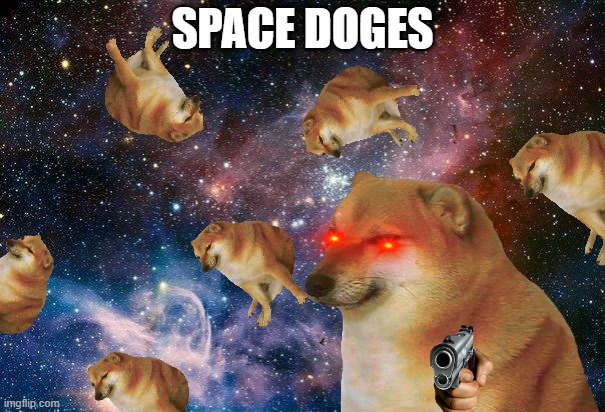 space doges | SPACE DOGES | made w/ Imgflip meme maker