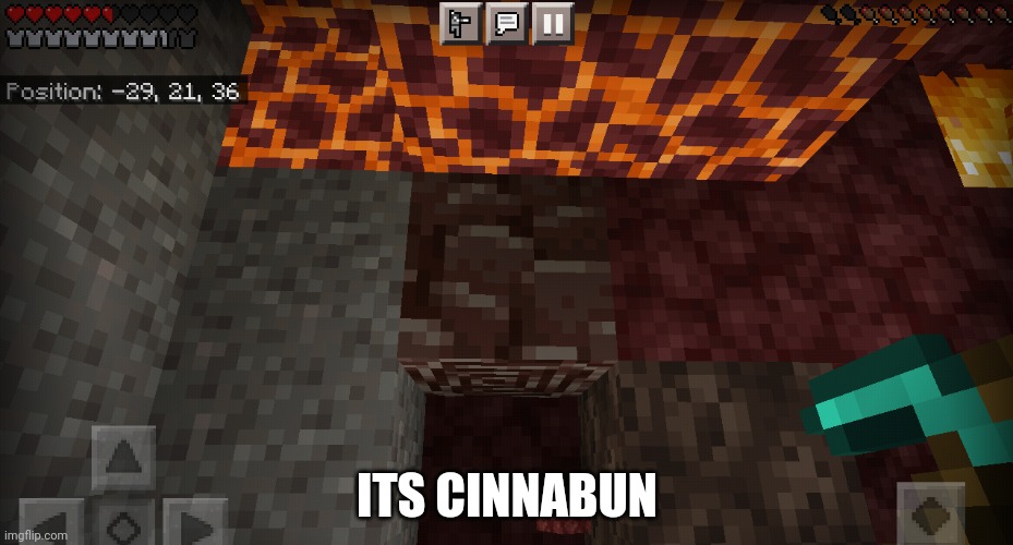 Not the user, the food. Duh | ITS CINNABUN | image tagged in minecraft | made w/ Imgflip meme maker