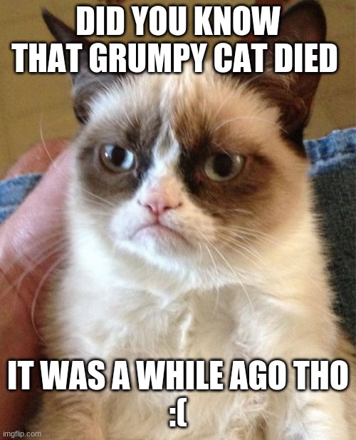 he died :( | DID YOU KNOW THAT GRUMPY CAT DIED; IT WAS A WHILE AGO THO
:( | image tagged in memes,grumpy cat | made w/ Imgflip meme maker