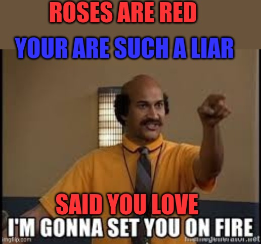 She lied | ROSES ARE RED; YOUR ARE SUCH A LIAR; SAID YOU LOVE | image tagged in i'm gonna set you on fire,memes,roses are red,funny memes | made w/ Imgflip meme maker