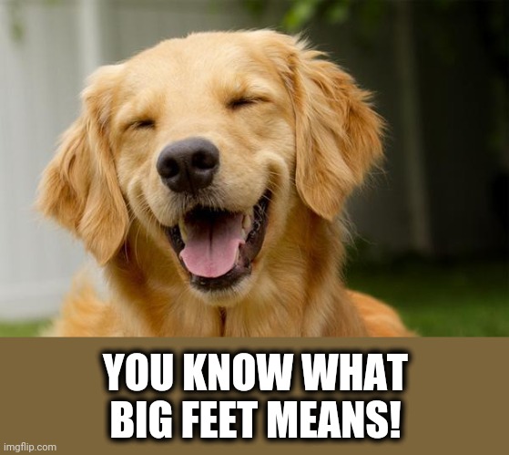 Happy Dog | YOU KNOW WHAT BIG FEET MEANS! | image tagged in happy dog | made w/ Imgflip meme maker