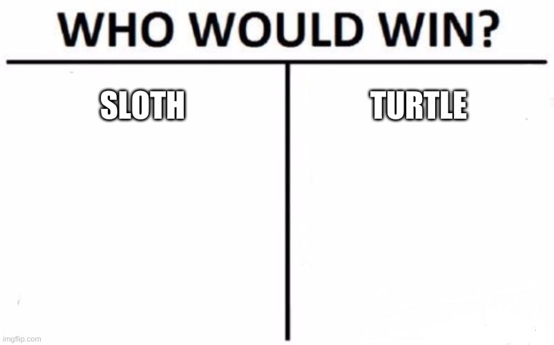 Who Would Win? Meme | SLOTH; TURTLE | image tagged in memes,who would win | made w/ Imgflip meme maker