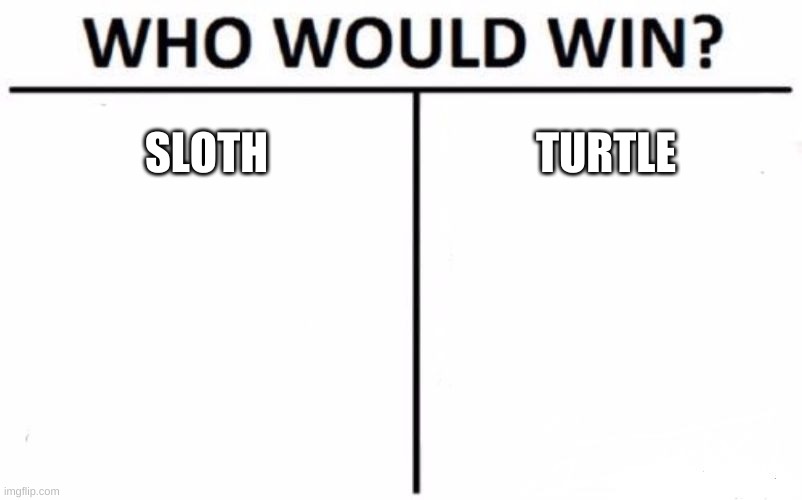 Who Would Win? | SLOTH; TURTLE | image tagged in memes,who would win | made w/ Imgflip meme maker