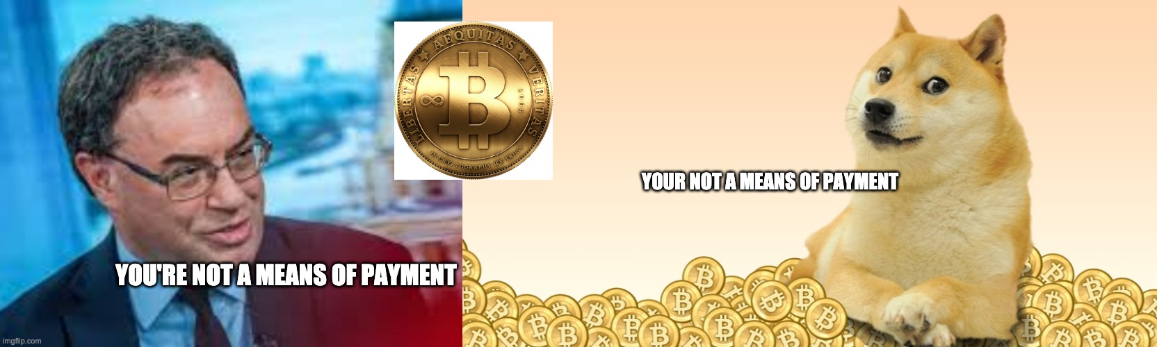 Andrew Bailey Bitcoin Dogecoin | YOUR NOT A MEANS OF PAYMENT; YOU'RE NOT A MEANS OF PAYMENT | image tagged in doge coin | made w/ Imgflip meme maker