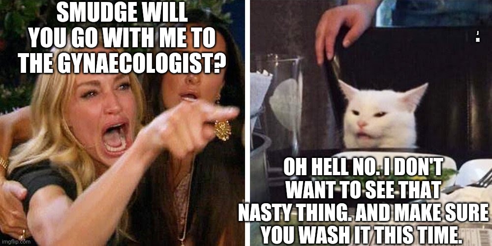 Smudge the cat | SMUDGE WILL YOU GO WITH ME TO THE GYNAECOLOGIST? J M; OH HELL NO. I DON'T WANT TO SEE THAT NASTY THING. AND MAKE SURE YOU WASH IT THIS TIME. | image tagged in smudge the cat | made w/ Imgflip meme maker
