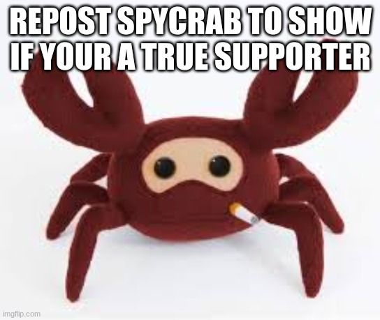 We must protect the rare spycrab | REPOST SPYCRAB TO SHOW IF YOUR A TRUE SUPPORTER | image tagged in spycrab,spiecrab,protec our boi | made w/ Imgflip meme maker