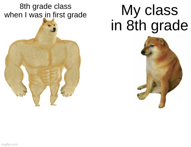 Maybr repost, but I don't think so. |  8th grade class when I was in first grade; My class in 8th grade | image tagged in memes,buff doge vs cheems | made w/ Imgflip meme maker