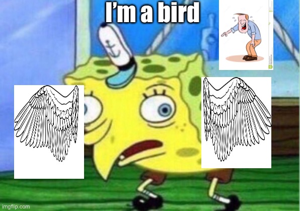 Mocking Spongebob Meme | I’m a bird | image tagged in memes,mocking spongebob | made w/ Imgflip meme maker