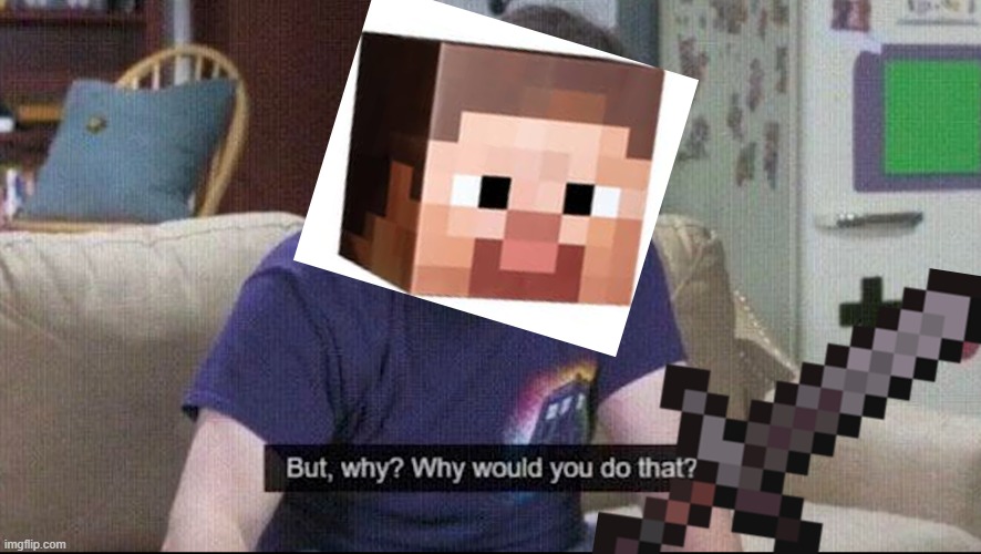 But why why would you do that? | image tagged in but why why would you do that | made w/ Imgflip meme maker