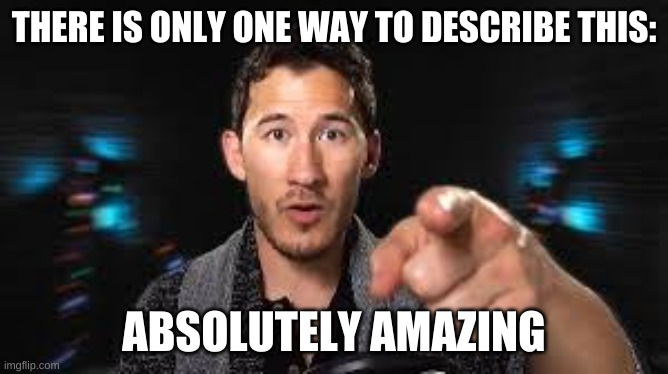 Markiplier pointing | THERE IS ONLY ONE WAY TO DESCRIBE THIS: ABSOLUTELY AMAZING | image tagged in markiplier pointing | made w/ Imgflip meme maker