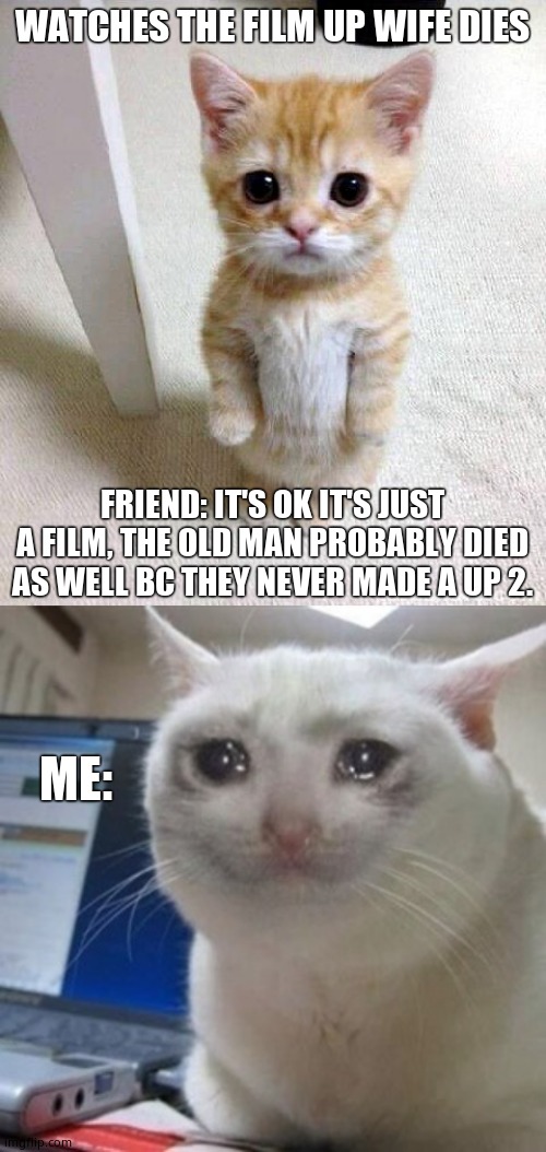 Up...? Or down-? | WATCHES THE FILM UP WIFE DIES; FRIEND: IT'S OK IT'S JUST A FILM, THE OLD MAN PROBABLY DIED AS WELL BC THEY NEVER MADE A UP 2. ME: | image tagged in memes,cute cat,crying cat | made w/ Imgflip meme maker