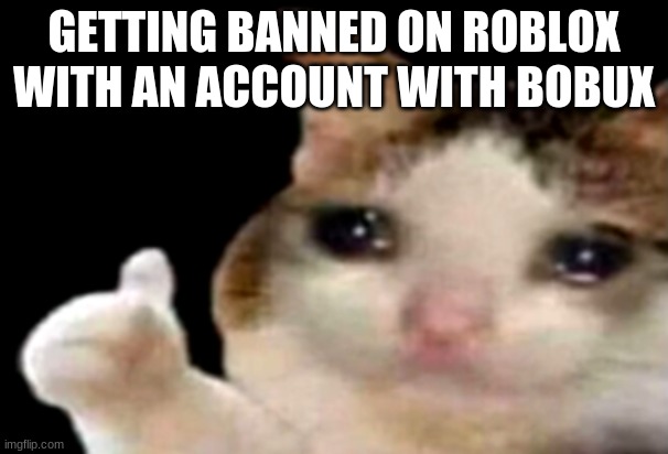 This Happened To Me :( | GETTING BANNED ON ROBLOX WITH AN ACCOUNT WITH BOBUX | image tagged in sad cat thumbs up | made w/ Imgflip meme maker