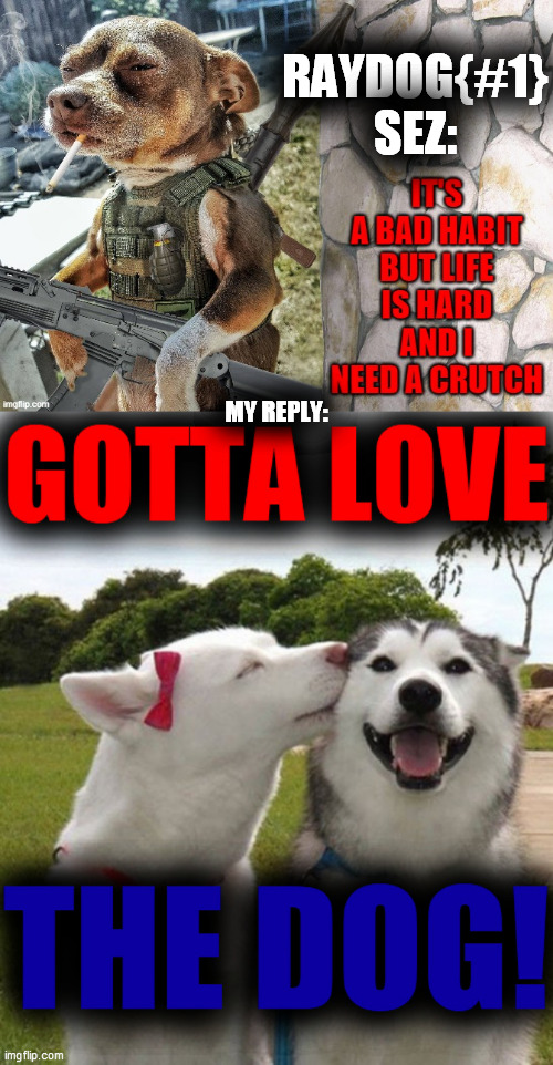 Gotta. LOVE. That. RAYDOG. !!! | RAYDOG{#1} SEZ:; MY REPLY: | image tagged in raydog,numbah one,no bout adoubt it,gotta love the dog,immortal dog,atomic dawg | made w/ Imgflip meme maker