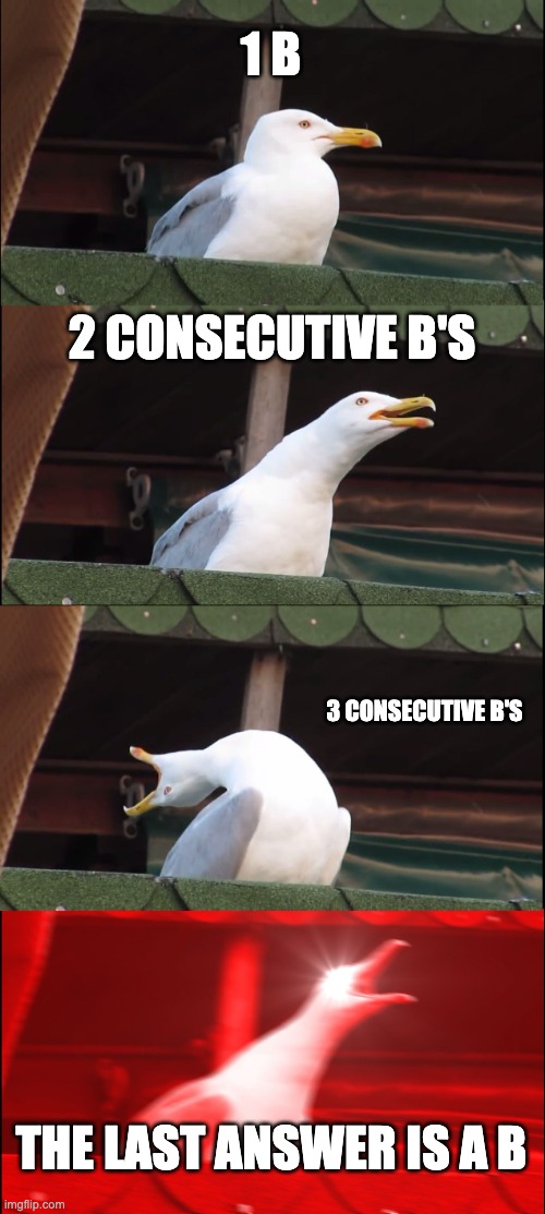 math questions | 1 B; 2 CONSECUTIVE B'S; 3 CONSECUTIVE B'S; THE LAST ANSWER IS A B | image tagged in memes,inhaling seagull | made w/ Imgflip meme maker