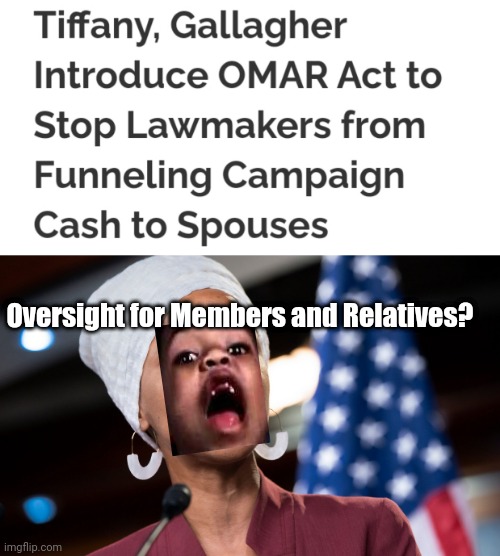 O.M.A.R. Act | Oversight for Members and Relatives? | image tagged in ilhan omar,congress,corruption | made w/ Imgflip meme maker