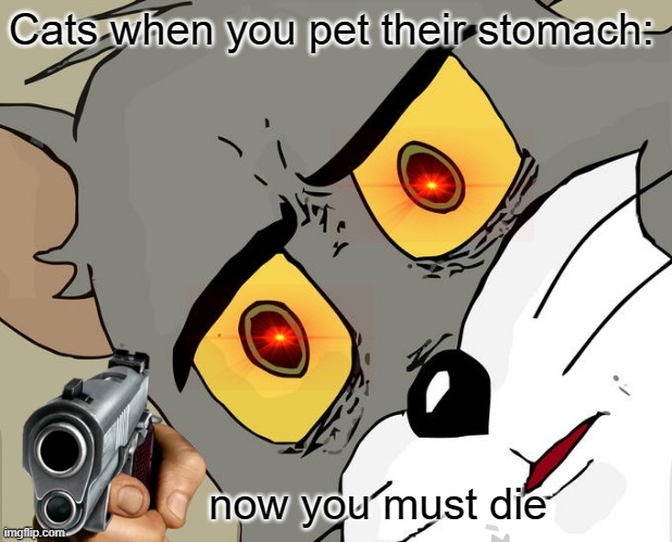 Cats when you... |  Cats when you pet their stomach:; now you must die | image tagged in memes,unsettled tom | made w/ Imgflip meme maker
