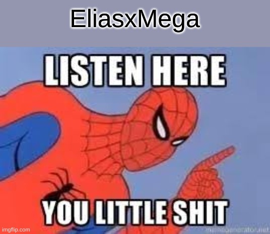 NOW LISTEN HERE YOU LITTLE SHIT | EliasxMega | image tagged in now listen here you little shit | made w/ Imgflip meme maker