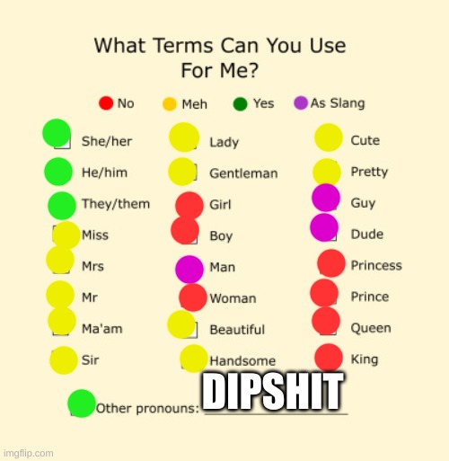 Pronouns Sheet | DIPSHIT | image tagged in pronouns sheet | made w/ Imgflip meme maker