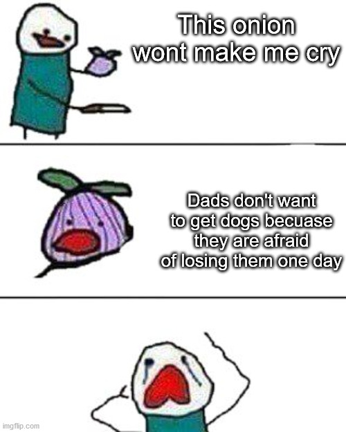 this onion won't make me cry | This onion wont make me cry; Dads don't want to get dogs becuase they are afraid of losing them one day | image tagged in this onion won't make me cry | made w/ Imgflip meme maker