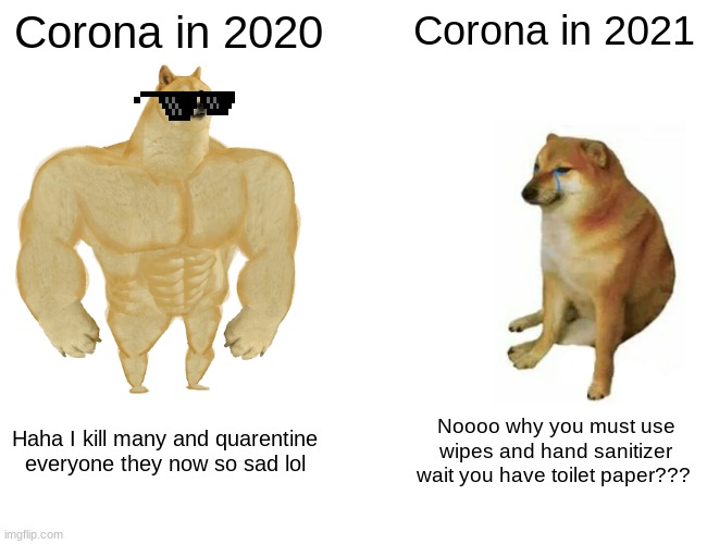 Buff Doge vs. Cheems | Corona in 2020; Corona in 2021; Haha I kill many and quarentine everyone they now so sad lol; Noooo why you must use wipes and hand sanitizer wait you have toilet paper??? | image tagged in memes,buff doge vs cheems | made w/ Imgflip meme maker