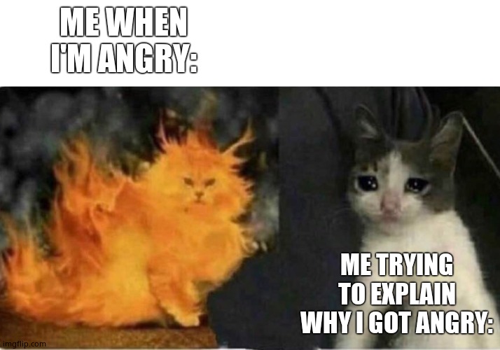 Angry Vs Sad | ME WHEN I'M ANGRY:; ME TRYING TO EXPLAIN WHY I GOT ANGRY: | image tagged in cat | made w/ Imgflip meme maker