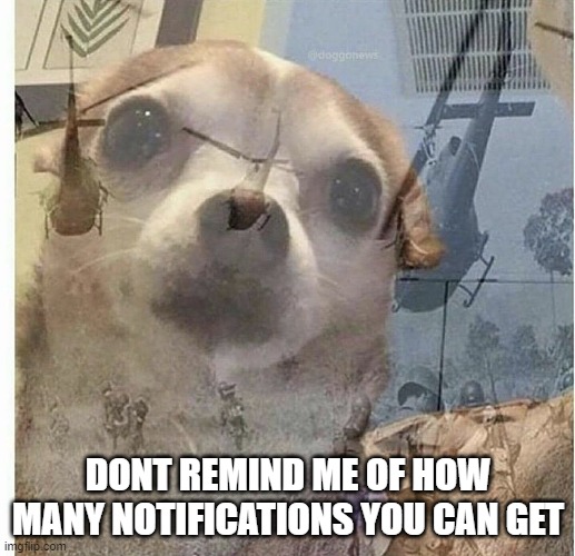 PTSD Chihuahua | DONT REMIND ME OF HOW MANY NOTIFICATIONS YOU CAN GET | image tagged in ptsd chihuahua | made w/ Imgflip meme maker