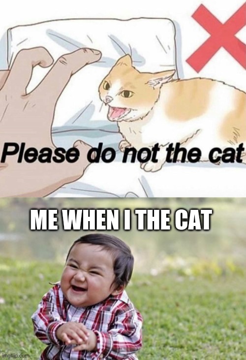 ME WHEN I THE CAT | image tagged in please do not the cat,memes,evil toddler | made w/ Imgflip meme maker