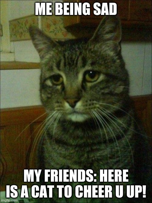 Depressed Cat | ME BEING SAD; MY FRIENDS: HERE IS A CAT TO CHEER U UP! | image tagged in memes,depressed cat | made w/ Imgflip meme maker