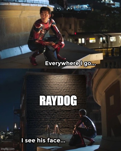 Hi Raydog :) | RAYDOG | image tagged in everywhere i go i see his face | made w/ Imgflip meme maker