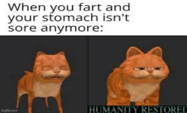 SWEET RELIEF | image tagged in garfield,fart | made w/ Imgflip meme maker