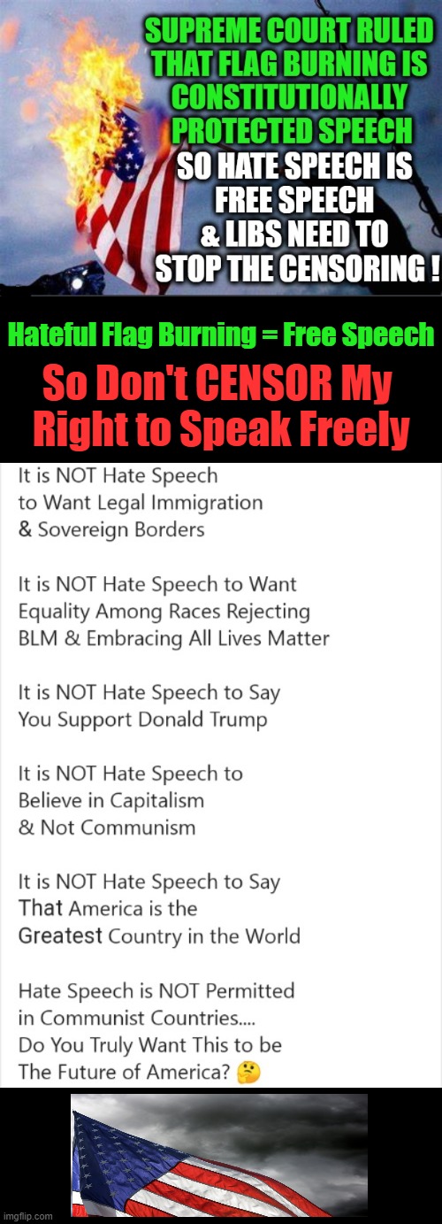 It is Not Hate Speech to Want the Best for America | Hateful Flag Burning = Free Speech; So Don't CENSOR My 
Right to Speak Freely | image tagged in politics,free speech,hate speech,liberty,american exceptionalism,freedom | made w/ Imgflip meme maker