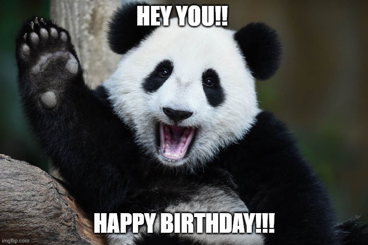 Bye Bye Panda | HEY YOU!! HAPPY BIRTHDAY!!! | image tagged in bye bye panda | made w/ Imgflip meme maker