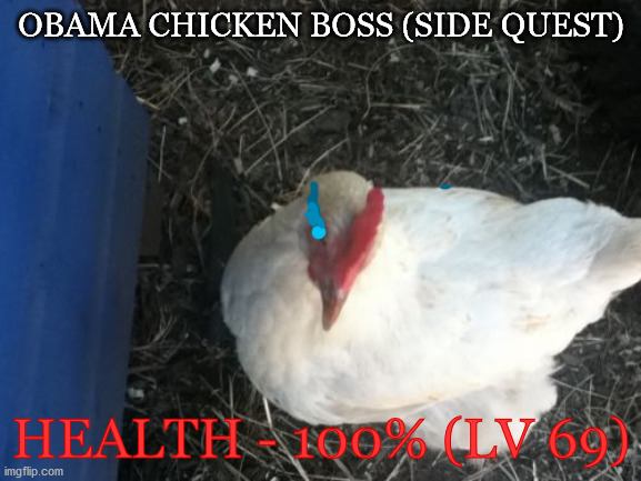 ObamaBoss (Side Quest) | OBAMA CHICKEN BOSS (SIDE QUEST); HEALTH - 100% (LV 69) | image tagged in memes,angry chicken boss,chicken | made w/ Imgflip meme maker