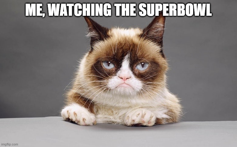 Superbowl Sadness | ME, WATCHING THE SUPERBOWL | image tagged in superbowl 50,grumpy cat | made w/ Imgflip meme maker