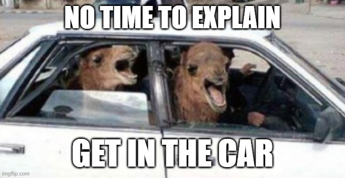 Llamas in a car | NO TIME TO EXPLAIN; GET IN THE CAR | image tagged in funny,funny meme,llamas,lol | made w/ Imgflip meme maker