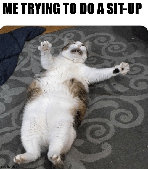 The struggle is real | ME TRYING TO DO A SIT-UP | image tagged in lol | made w/ Imgflip meme maker