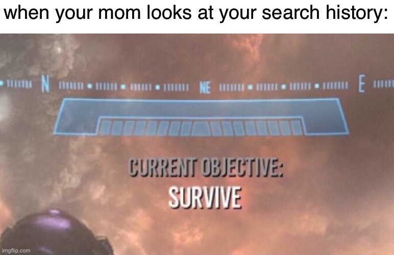 moms be like: | when your mom looks at your search history: | image tagged in current objective survive,funny memes,funny,memes,moms | made w/ Imgflip meme maker