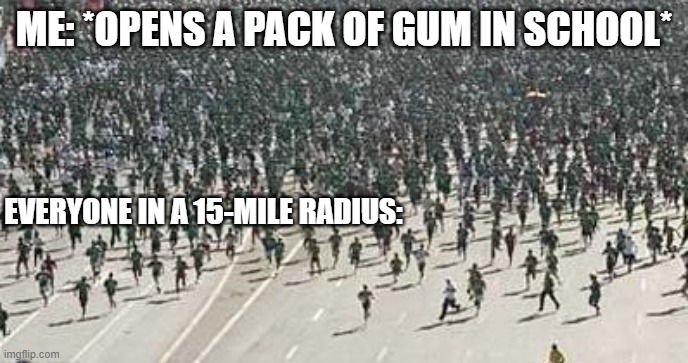 Gum in school | ME: *OPENS A PACK OF GUM IN SCHOOL*; EVERYONE IN A 15-MILE RADIUS: | image tagged in school,gum in school,funny,funny meme,lol | made w/ Imgflip meme maker