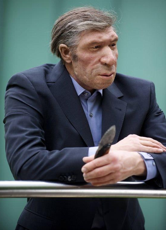 neanderthal suit Blank Meme Template