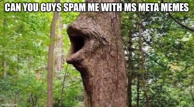 Tree pog | CAN YOU GUYS SPAM ME WITH MS META MEMES | image tagged in tree pog | made w/ Imgflip meme maker