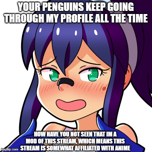 YOUR PENGUINS KEEP GOING THROUGH MY PROFILE ALL THE TIME HOW HAVE YOU NOT SEEN THAT IM A MOD OF THIS STREAM, WHICH MEANS THIS STREAM IS SOME | made w/ Imgflip meme maker