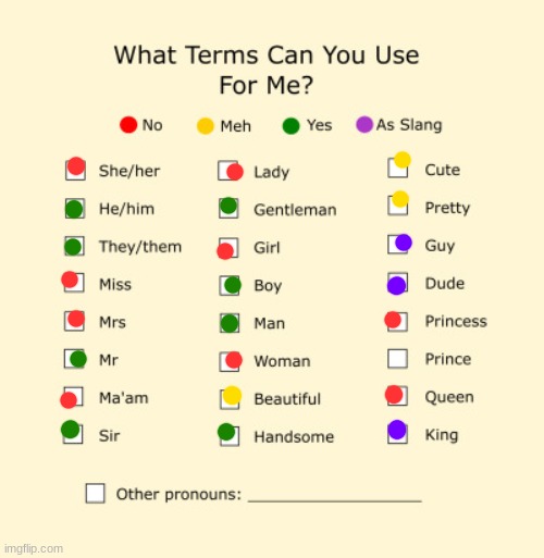 Pronouns Sheet | image tagged in pronouns sheet | made w/ Imgflip meme maker