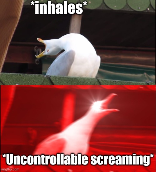 Screaming bird | *inhales*; *Uncontrollable screaming* | image tagged in screaming bird | made w/ Imgflip meme maker