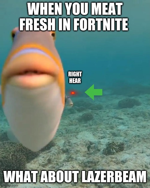 Do you fart fish | WHEN YOU MEAT FRESH IN FORTNITE; RIGHT HEAR; WHAT ABOUT LAZERBEAM | image tagged in do you fart fish | made w/ Imgflip meme maker