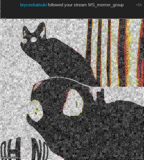 image tagged in deep fried oh no cat | made w/ Imgflip meme maker