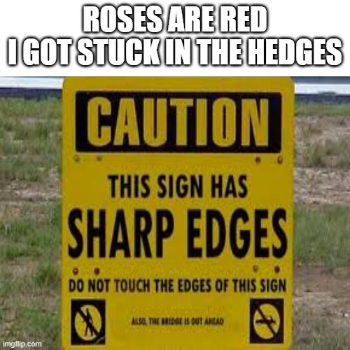 ouch | ROSES ARE RED
I GOT STUCK IN THE HEDGES | image tagged in memes,e | made w/ Imgflip meme maker