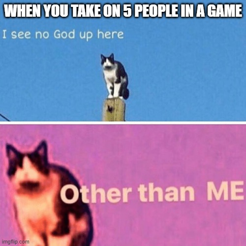 wow | WHEN YOU TAKE ON 5 PEOPLE IN A GAME | image tagged in hail pole cat | made w/ Imgflip meme maker